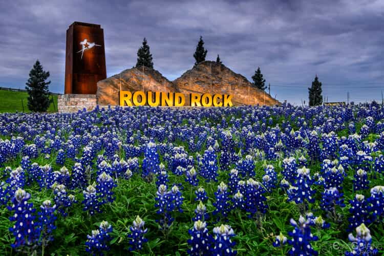 City of Round Rock sign behind a field of bluebonnets