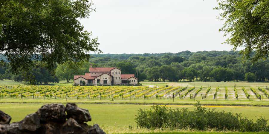 The Vineyard at Florence in Florence, TX