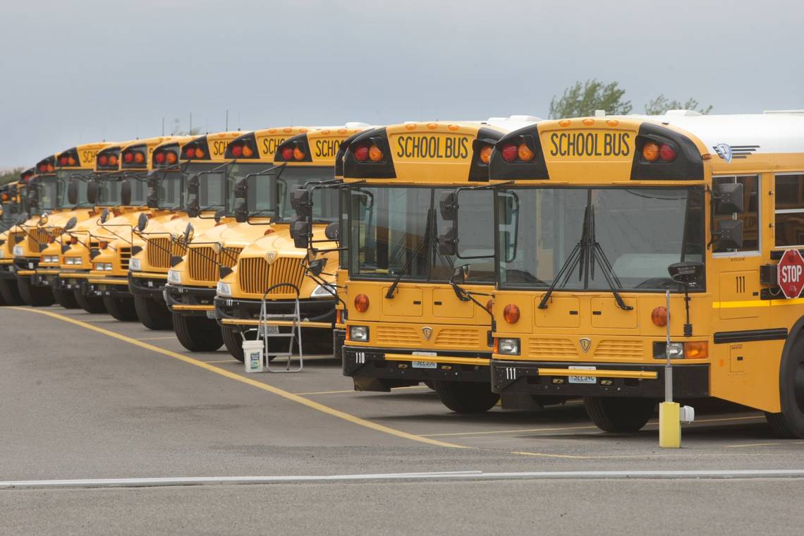 school buses